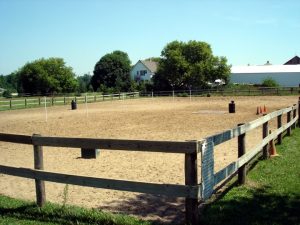 Fences for horse riding